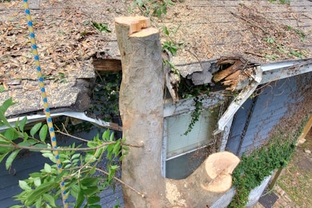 Tree Debris Removal & Storm Cleanup Thumbnail